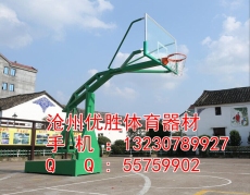 河北衡水移动式篮球架 生产厂家