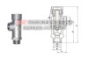 低温介质管路泄压阀DA21F-40P低温安全阀