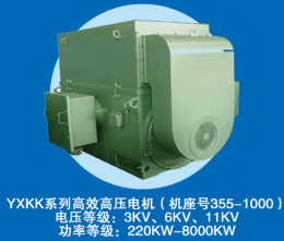YXKK系列高压三相异步电动机