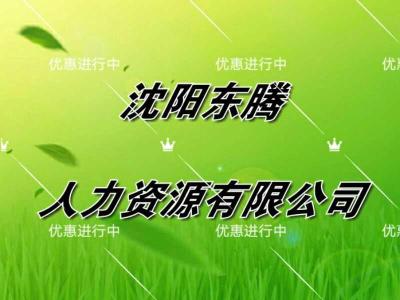 沈陽出入境咨詢東騰沈陽出國勞務(wù)掙錢多