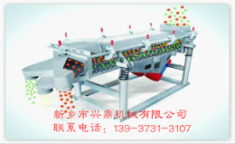 直線振動篩設(shè)計(jì)計(jì)算