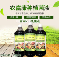 有效预防番茄枯萎病的方法有哪些