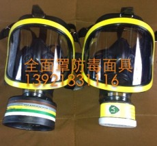 IMPA331238全面罩防毒面具
