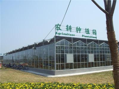 陕西杨凌常青玻璃连栋景观温室项目