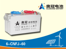 奥冠蓄电池6-CNFJ-20胶体蓄电池12V20AHUPSE