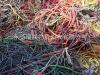 中山专业回收废旧电线电缆公司