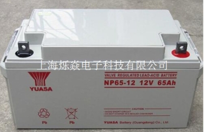 汤浅蓄电池12V200AH UPS专用