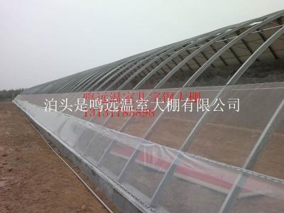 鸣远温室大棚工程有限公司生产加工几字钢骨架大棚