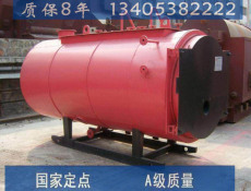 9吨蒸汽锅炉安装