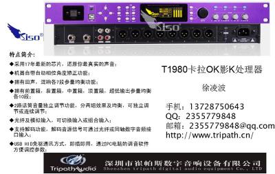 T1980卡拉OK影K处理器