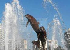 海豚雕塑定做动物雕塑厂家志彪