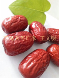 精品特級若羌灰棗廠家直批特價銷售