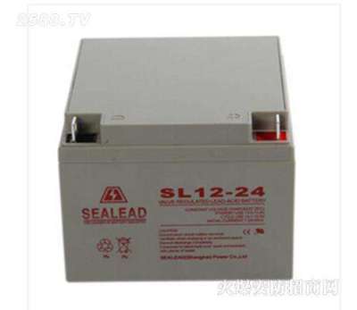 SEALEAD蓄电池SL12-24/12V24AH阀控密封式