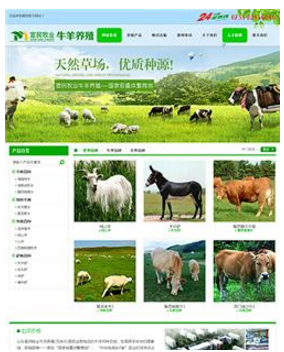 河南三门峡营销型企业网站建设哪家公司便宜