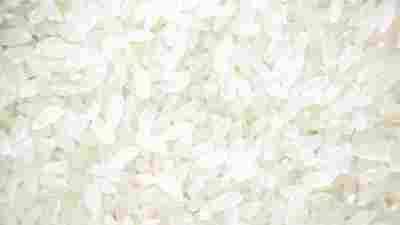 求购进口大米碎米玉米高粱小麦木薯淀粉