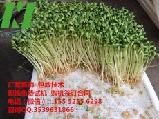 杭州芽苗菜发芽机 芽苗菜机器图片