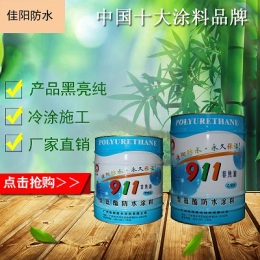 广州天河区佳阳聚氨酯防水涂料专治各种防水