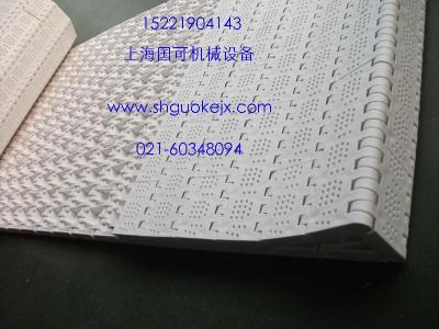 上海实力厂家国可OPB网带批发/OPB塑料网带