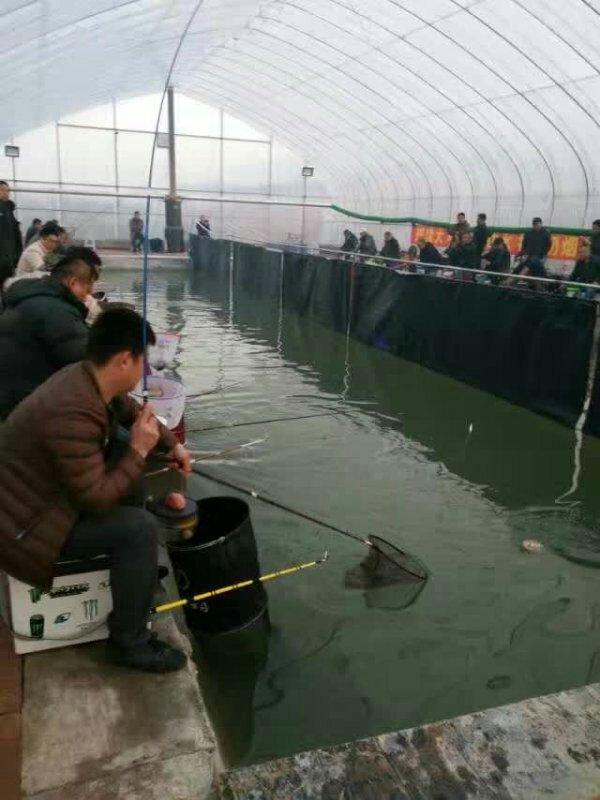 谱农沈阳双层大棚骨架定制沈阳大棚骨架