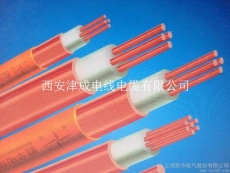 天津市津成电线电缆有限公司西安第一分公司