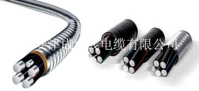 天津市津成電線電纜有限公司西安第一分公司