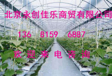 北京花卉大棚建设安装价格