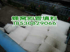 專業(yè)銷售蜂窩斜管湖北價格 出售各種規(guī)格