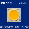 供应cree cob 科瑞cxa1816 科锐灯珠