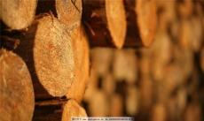 青岛木材进口运作流程