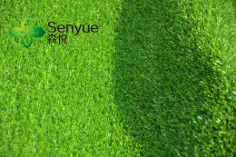 威海围挡草坪低价-装饰绿化草坪厂