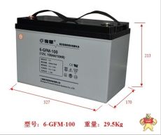 复华POWER蓄电池6-GFM-17铅酸免维护蓄电池