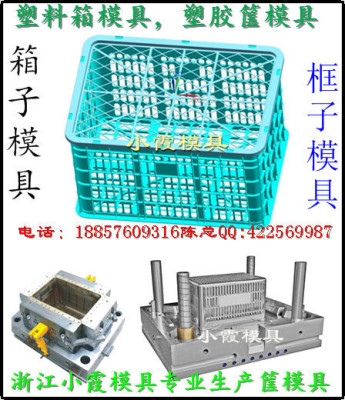 新款塑料储物蓝模具制造商