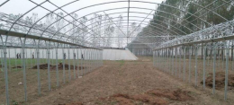 海淀农用温室大棚工程搭建技术
