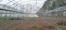 北京房山新型温室大棚工程搭建技术 在线咨