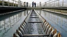 如何削减养殖污水处理设备的动力耗费