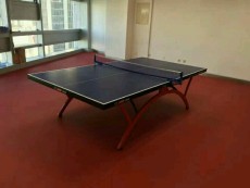 乒乓球专用塑胶地板 乒乓球塑胶运动地板