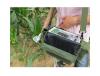 植物光合作用仪植物光合测定仪