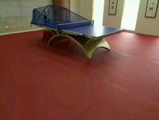 室内乒乓球地胶 乒乓球运动地板