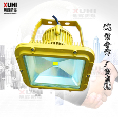LED防爆燈 防爆LED燈 LED防爆泛投光燈