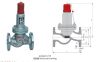 AHN42F平行式安全回流阀厂家直销