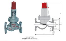 AHN42F平行式安全回流閥廠家直銷