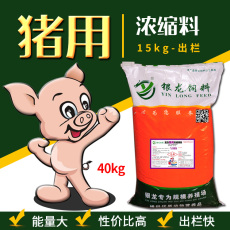 银龙高营养猪用浓缩料Y888中大猪自配饲料