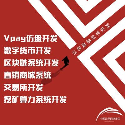 专业开发数字交易平台丨虚拟币交易系统