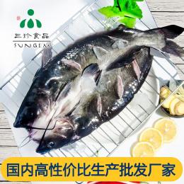 开背鮰鱼供应 安徽三珍食品厂家直销 清江鱼
