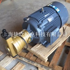 安徽YYB-160L-4-15KW液压专用三相异步电机