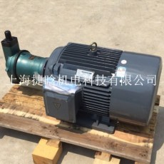 YQB160M-4-11KW内轴液压电机