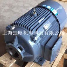 YQB100L2-4-3KW内插式液压电机