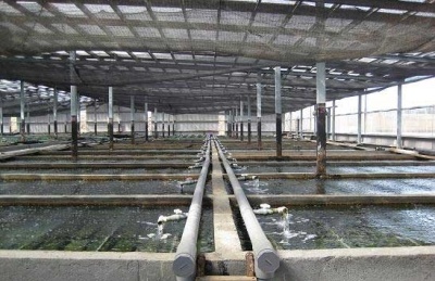浙江舟山石斑鱼养殖厂空气能热泵热水系统