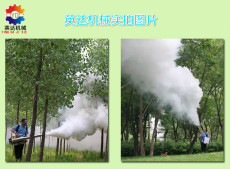新款弥雾机脉冲式烟雾机果园专用喷雾机厂家