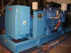 羅湖 發(fā)電機(jī)保養(yǎng) 奔馳12V2000G發(fā)電機(jī) 保養(yǎng)